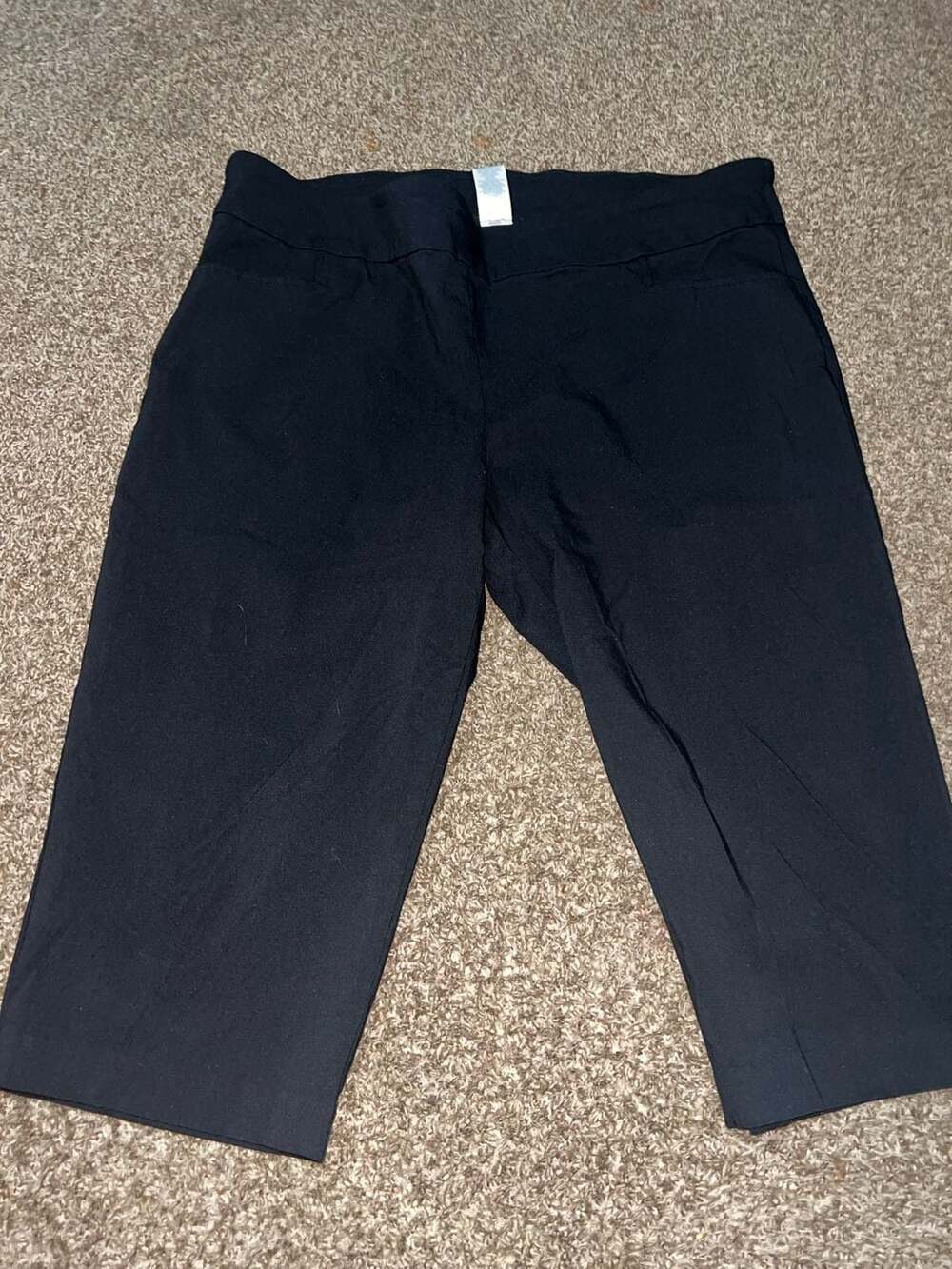 Terra & Sky Women's Black Pull-On Capri Pants Size 2X (20W-22W)
